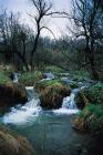 Hucianka stream tributary phot. Andrzej Czaderna